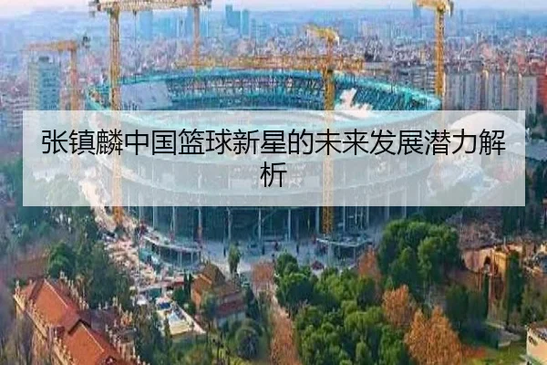 张镇麟中国篮球新星的未来发展潜力解析